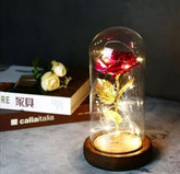 Vecna Ruza sa led svetlom u staklenoj kupoli