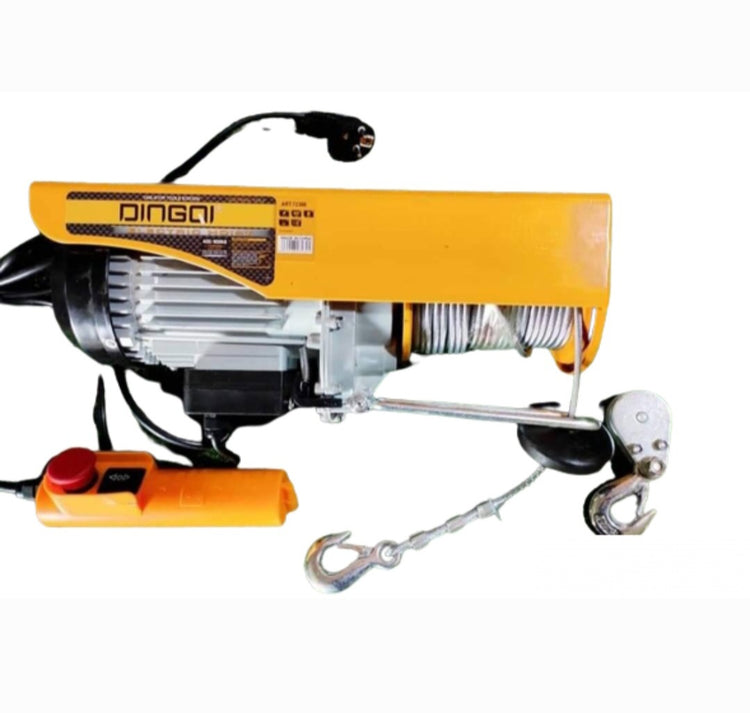 Elektricna dizalica vrabac 800kg Dingqi